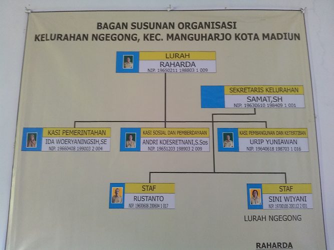 Struktur Organisasi